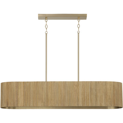 Donovan Island Light Ceiling Light in White Wash and Matte Brass