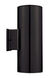 Ascoli (1) 2 Light 13 inch Matte Black Outdoor Wall Light