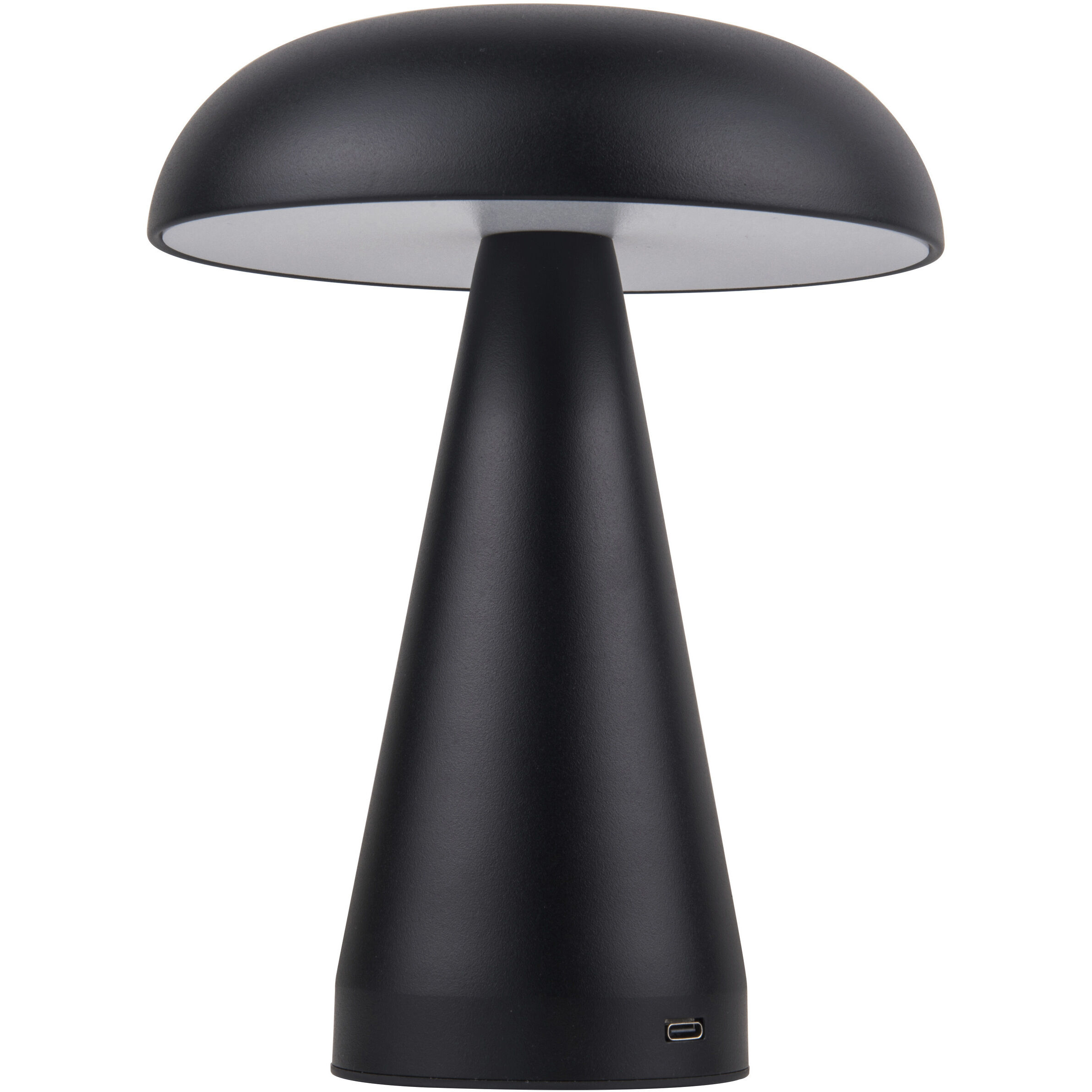 Marta Lamp