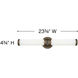 Remi LED 24 inch Champagne Bronze Vanity Light Wall Light, Vertical