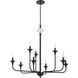 Jolenne 9 Light 35.04 inch Flat Black Chandelier Ceiling Light