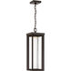 Shore Point LED Oil Rubbed Bronze Outdoor Chain Hung, Great Outdoors