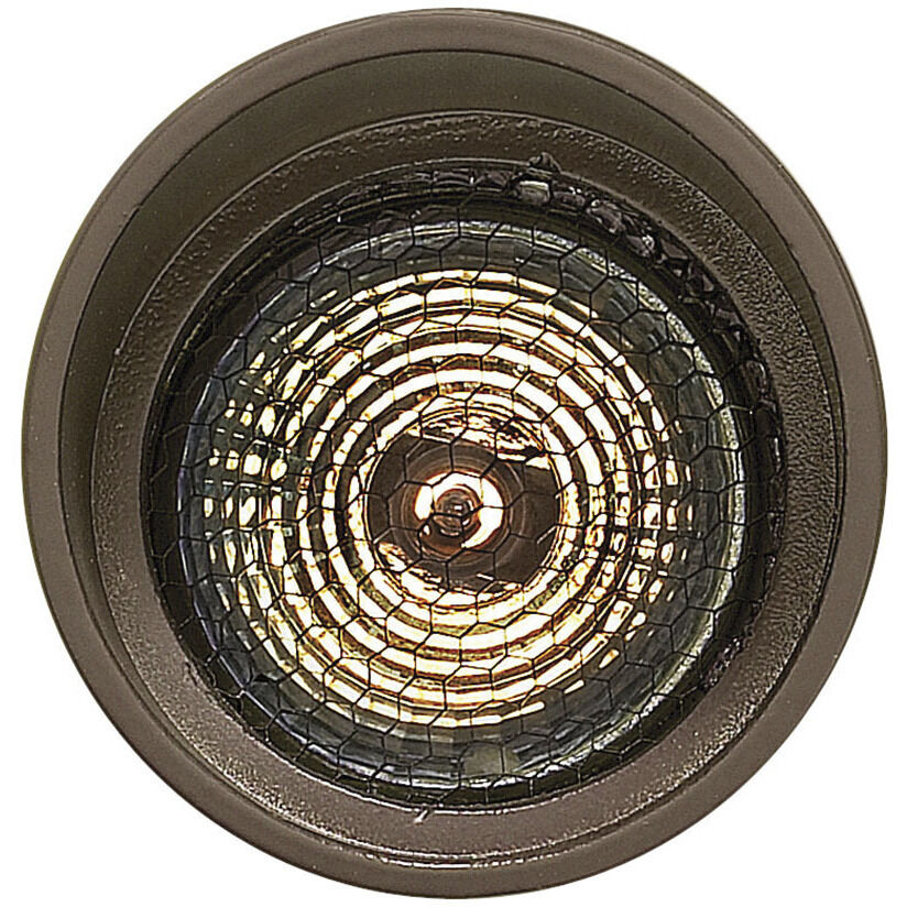 Isaac 120v 8.00 watt Bronze Landscape Spot Light