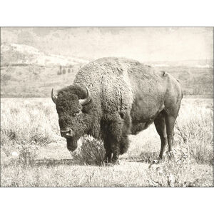 North Range 48 X 36 inch Art Print
