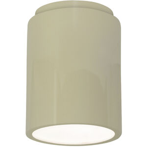 Radiance Cylinder LED 7 inch Vanilla Gloss Flush-Mount Ceiling Light in 1000 Lm LED