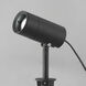 Alumilux Landscape 12 9 watt Black Outdoor Pathway Light
