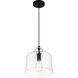Clarity 1 Light 10 inch Coal Mini Pendant Ceiling Light