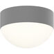 Reals LED 5 inch Textured Gray Flush Mount Ceiling Light in Dome Lens