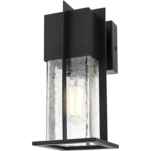 Janney 1 Light 11.5 inch Black Outdoor Wall Sconce