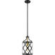 Malcalester 1 Light 8 inch Matte Black and Olde Brass Pendant Ceiling Light