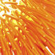 Urchin 1 Light 6.25 inch Electric Pumpkin Mini Pendant Ceiling Light