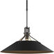 Henry 1 Light 23.2 inch Coastal Black Outdoor Pendant