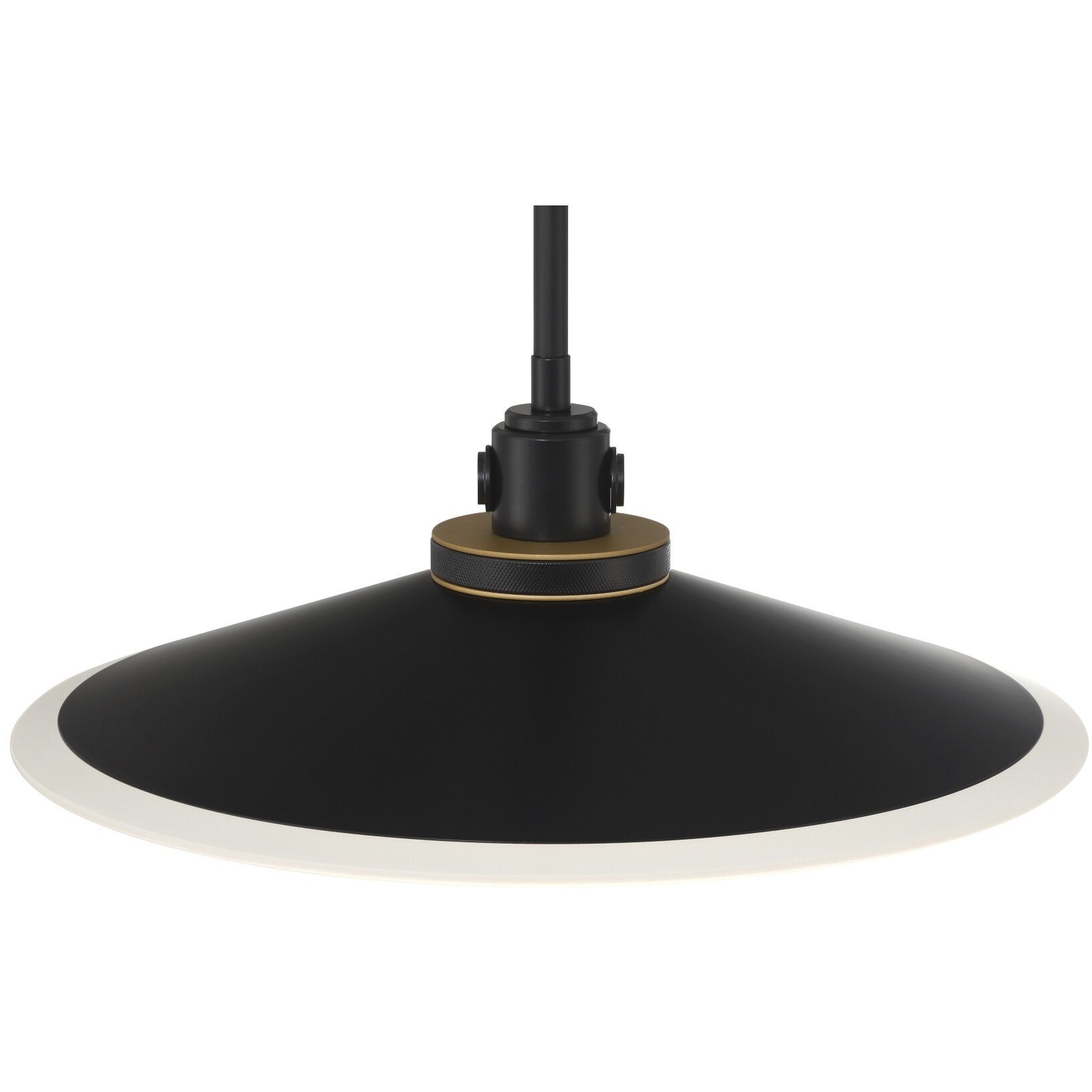 Deckard 1 Light 16 inch Gold and Black Outdoor Pendant