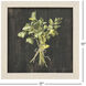 Rustic Herbs Green and Black and Neutral Framed Art, Propac