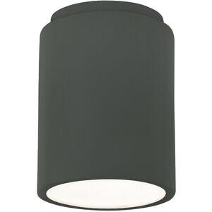 Radiance 1 Light 6.5 inch Pewter Green Outdoor Flush Mount in Incandescent