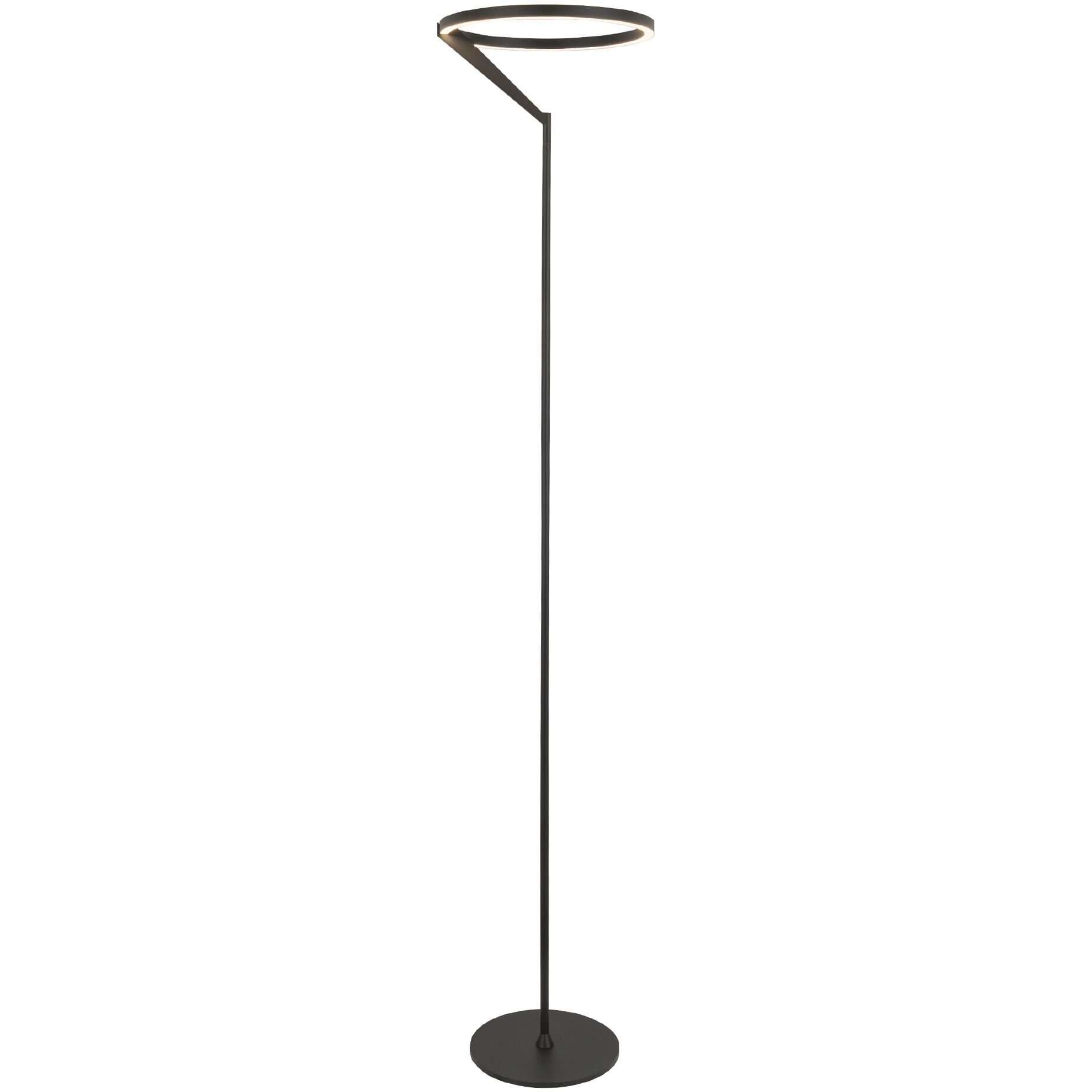 Roda 66.25 inch 25.00 watt Black Floor Lamp Portable Light
