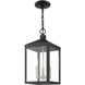 Nyack 3 Light 8.25 inch Black with Brushed Nickel Cluster Outdoor Pendant Lantern