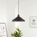 Geneva 1 Light 15.25 inch Bronze with Antique Brass Accents Pendant Ceiling Light