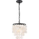 Selene 1 Light 10 inch Black Pendant Ceiling Light