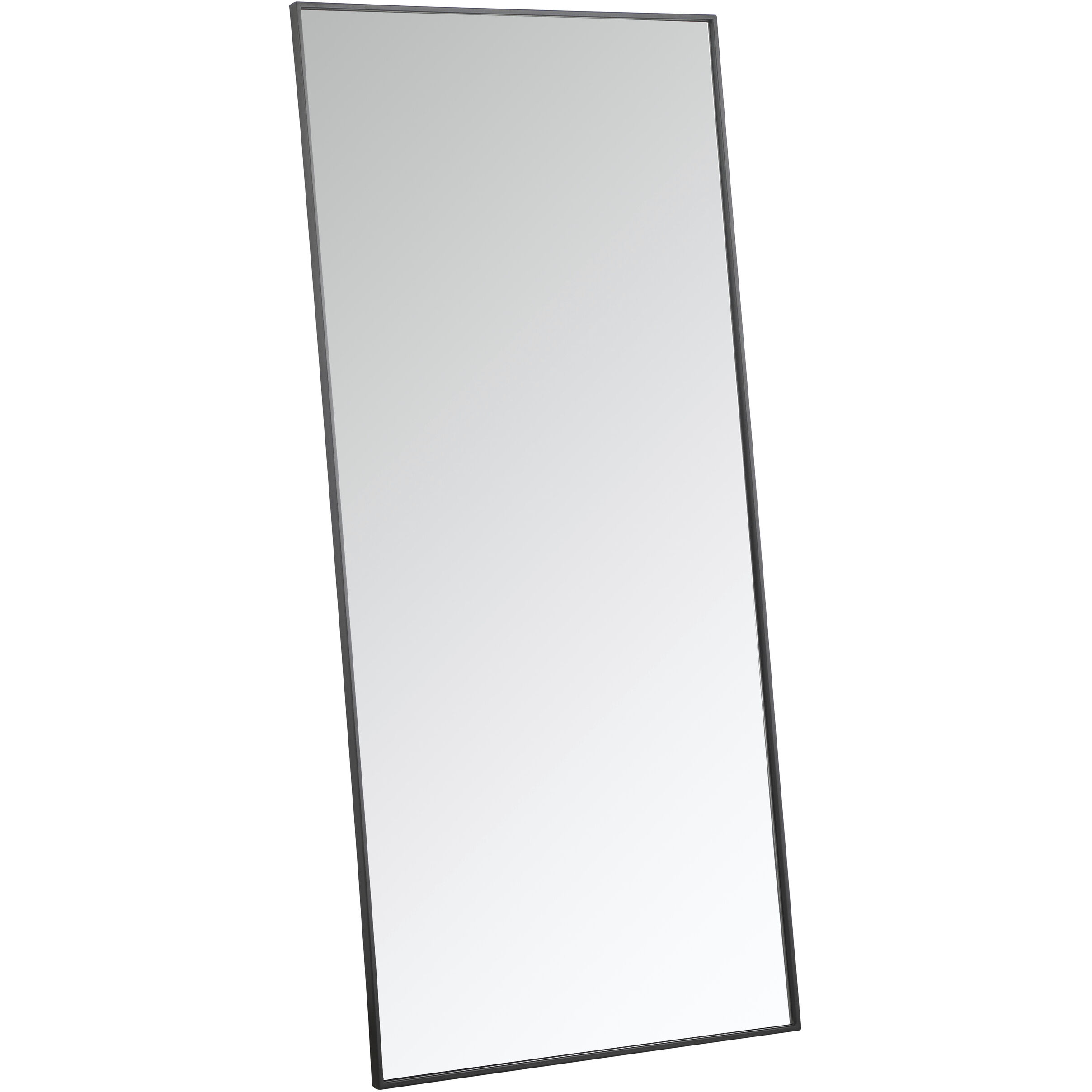 Monet 60 X 30 inch Black Wall Mirror