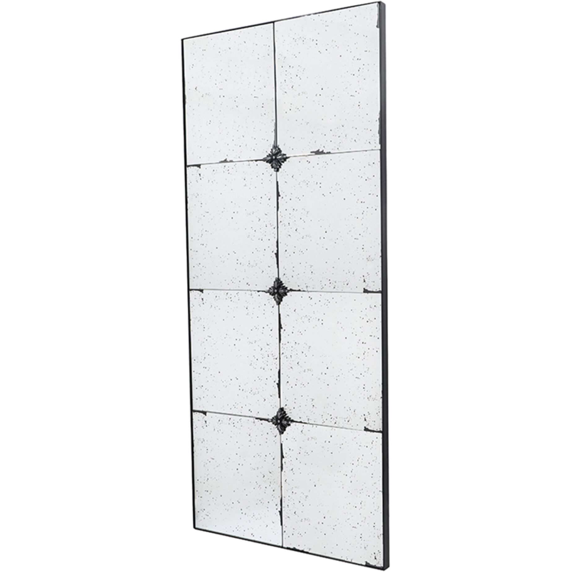 Anita 47 X 20.9 inch Black Wall Mirror