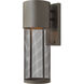 Aria LED 16 inch Buckeye Bronze Outdoor Wall Mount Lantern, Small