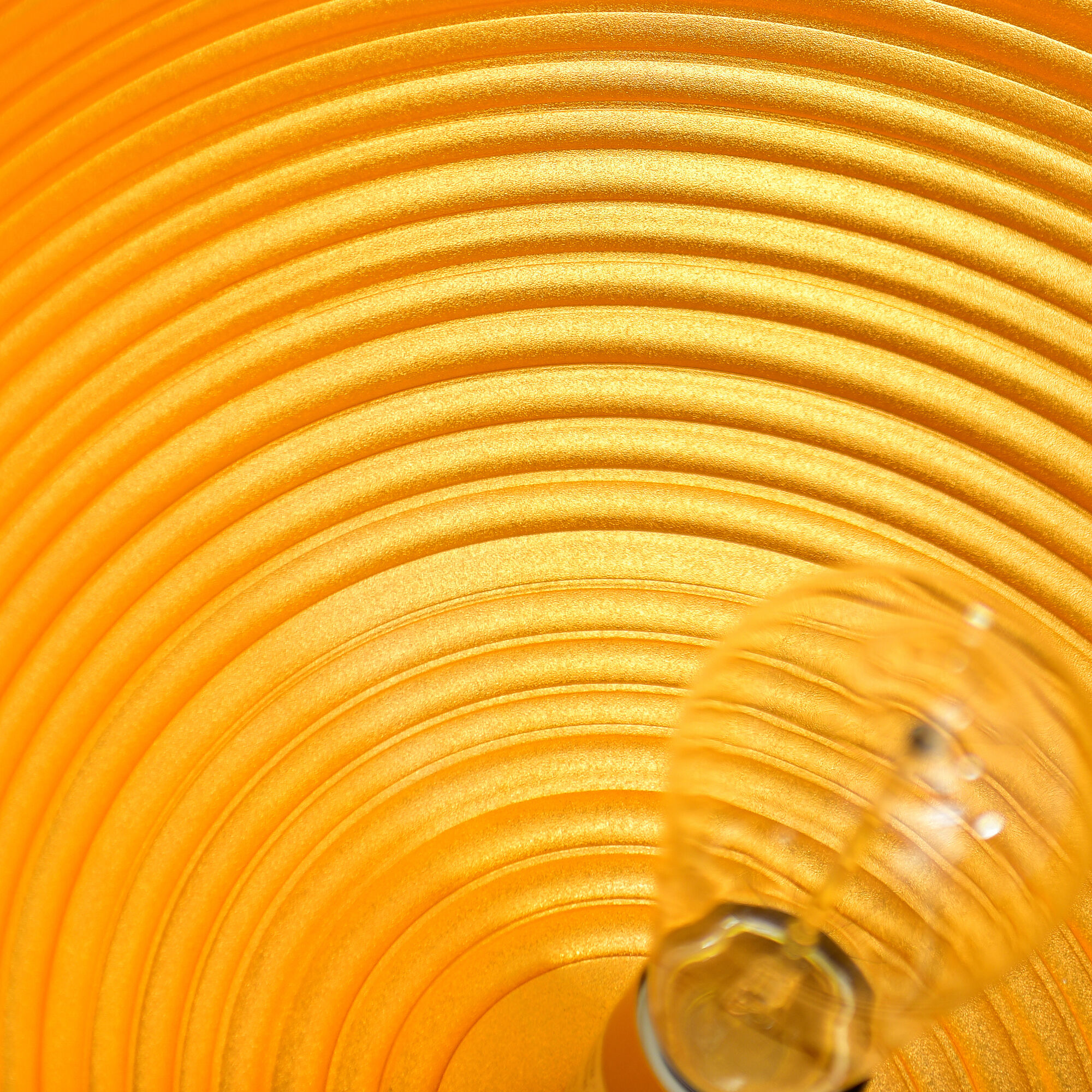 Modest 1 Light 16 inch Black Down Pendant Ceiling Light