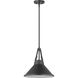 Zelda 1 Light 14 inch Black Pendant Ceiling Light