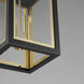 Neoclass 4 Light 12 inch Black/Gold Outdoor Pendant