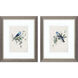 Animals Blue and Green and Gray and Neutral Framed Art, Propac