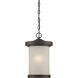 Diego LED 9 inch Mahogany Bronze Outdoor Hanging Light