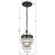 Calypso 1 Light 7.25 inch Matte Black Chandelier Ceiling Light