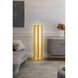 Canada 59 inch 20 watt Satin Brass Floor Lamp Portable Light