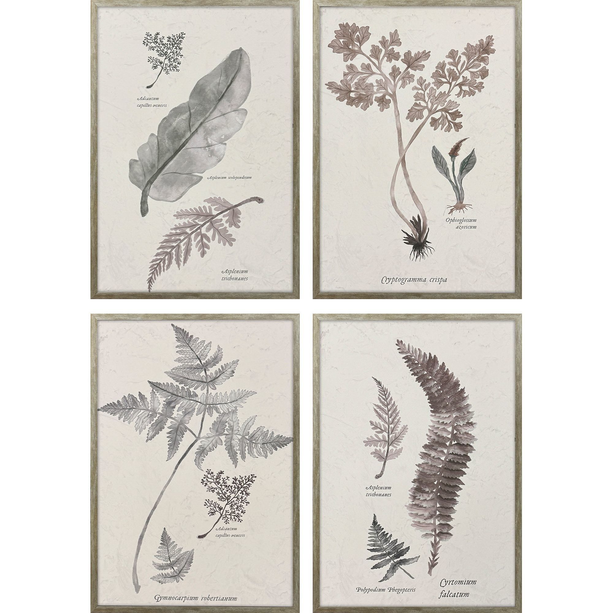 Fern Study Gray and Beige and Green Framed Art