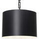 Alston 6 Light 20 inch Matte Black and White Pendant Ceiling Light in Matte Black with White