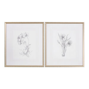 Botanical Sketches 32 X 28 inch Art Prints