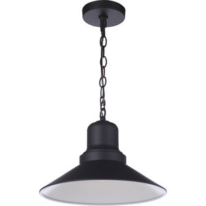 Singleton 1 Light 14 inch Midnight Outdoor Pendant