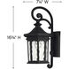Estate Series Raley Outdoor Wall Mount Lantern in Museum Black, Small