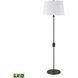 Roseden Court 62 inch 9 watt Clear with Matte Black Floor Lamp Portable Light