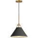 Lucas 1 Light 13.25 inch Black and Natural Aged Brass Single Pendant Ceiling Light