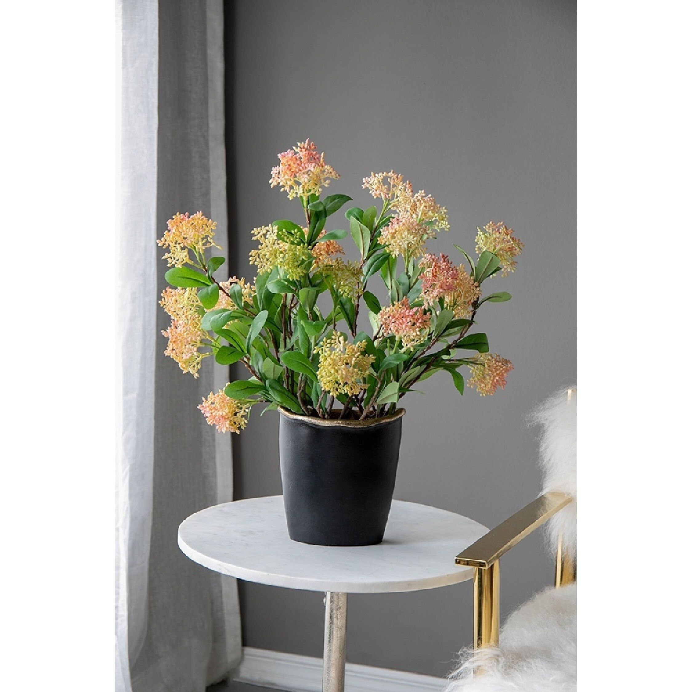 Anita 7.5 X 6.9 inch Flower Vase