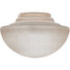myFanimation Tea Stain Fan Light