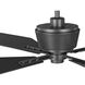 Chapin 54 inch Graphite with Grey Weathered Wood Blades Ceiling Fan
