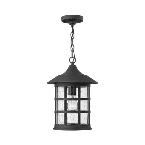 Freeport LED 10 inch Black Outdoor Hanging Light