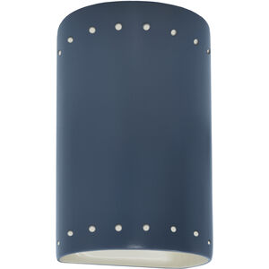 Ambiance Collection LED 9.5 inch Midnight Sky/Matte White Outdoor Wall Sconce