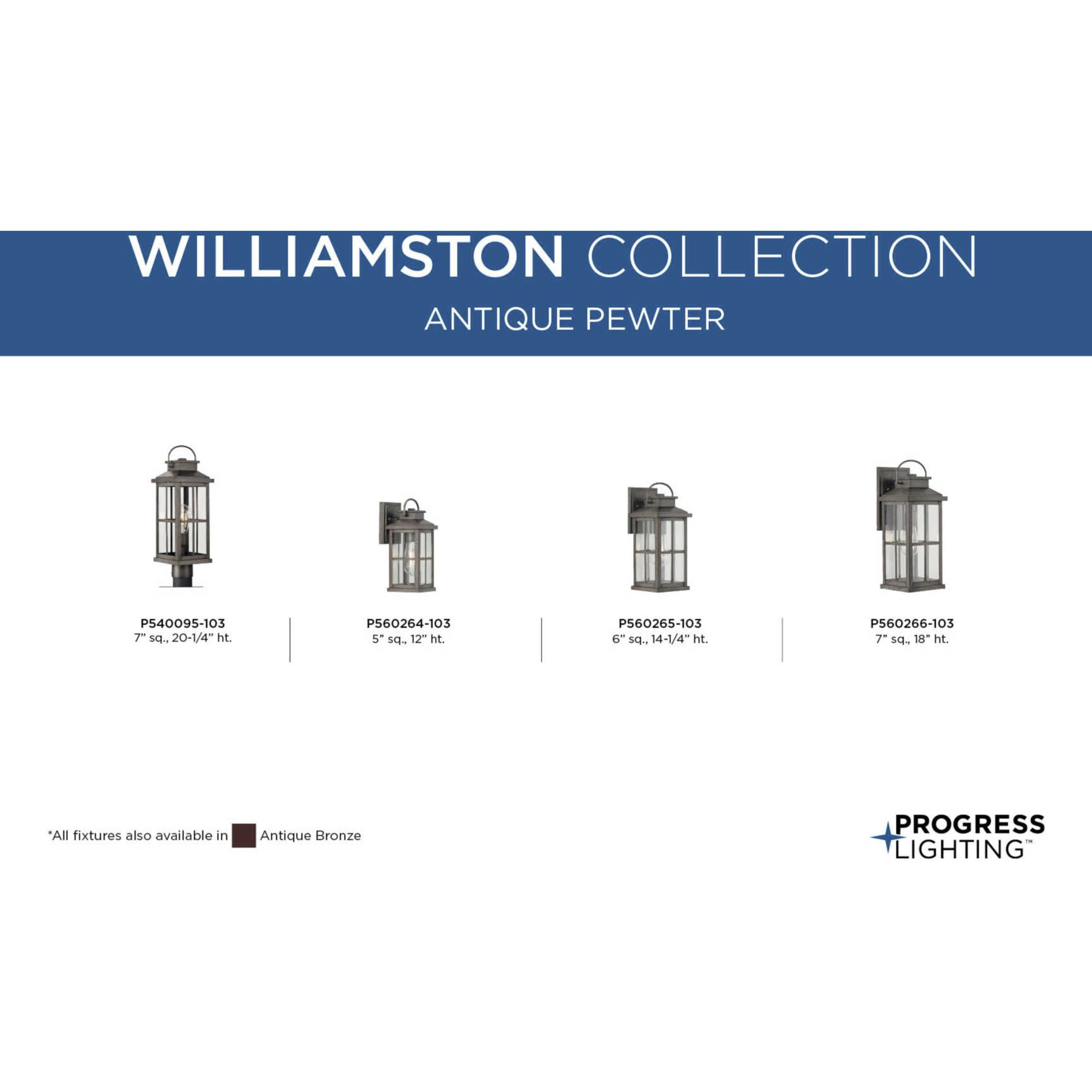 Williamston 1 Light 12 inch Antique Pewter Outdoor Wall Lantern, Small