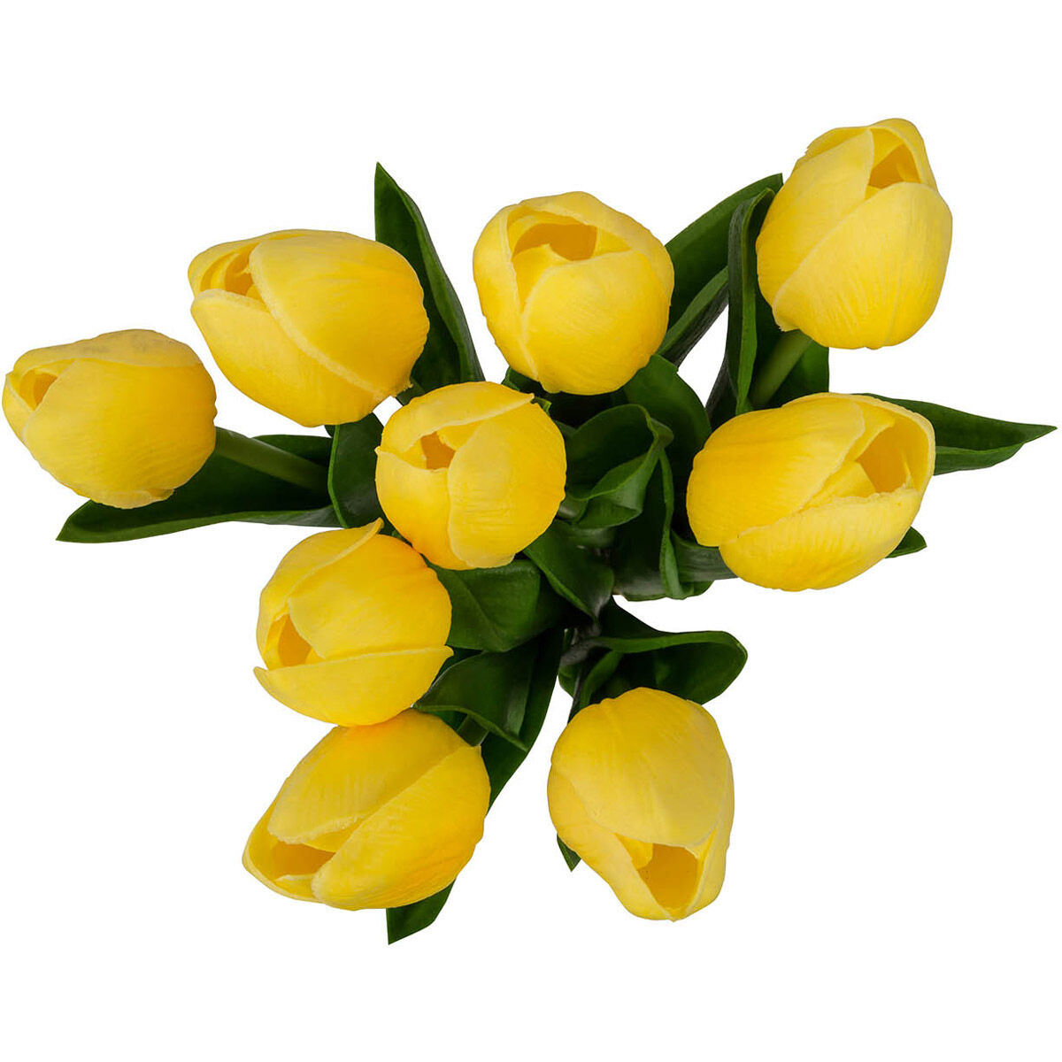 Almost Real White Stems