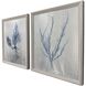 Oceanic Curiosity Blue and Metallic Framed Art, The Studio