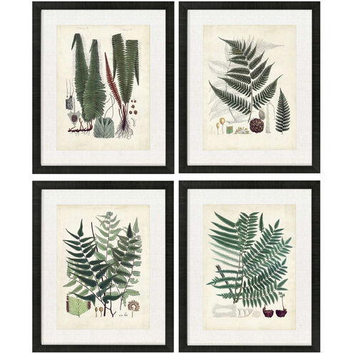 Collected Ferns Green and Brown and Neutral Framed Art