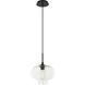 Irresistible Organic Charm 1 Light 11 inch Clear Pendant Ceiling Light